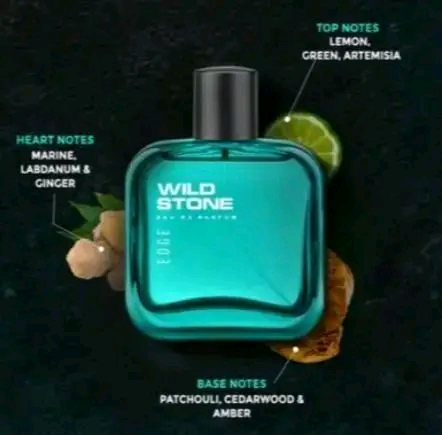 Wild Stone Body Spray